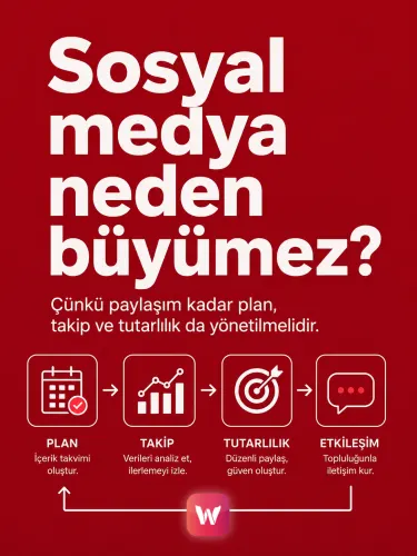 Wind Medya içerik örneği