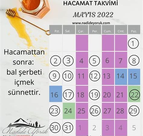 2024 Yılında Hangi Günlerde Çalışmayacaksınız?